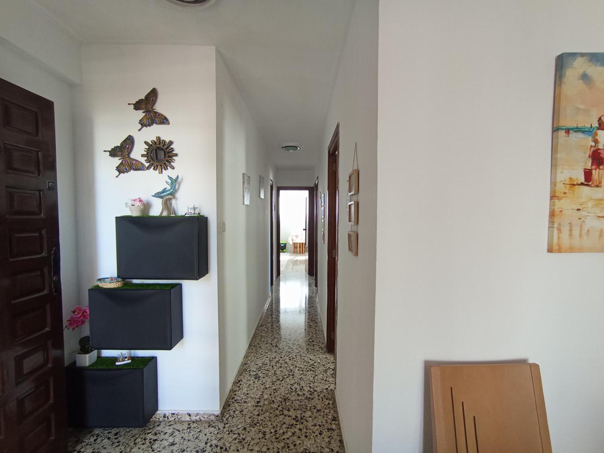 Apartamento 3 Paupi Oliva Εξωτερικό φωτογραφία