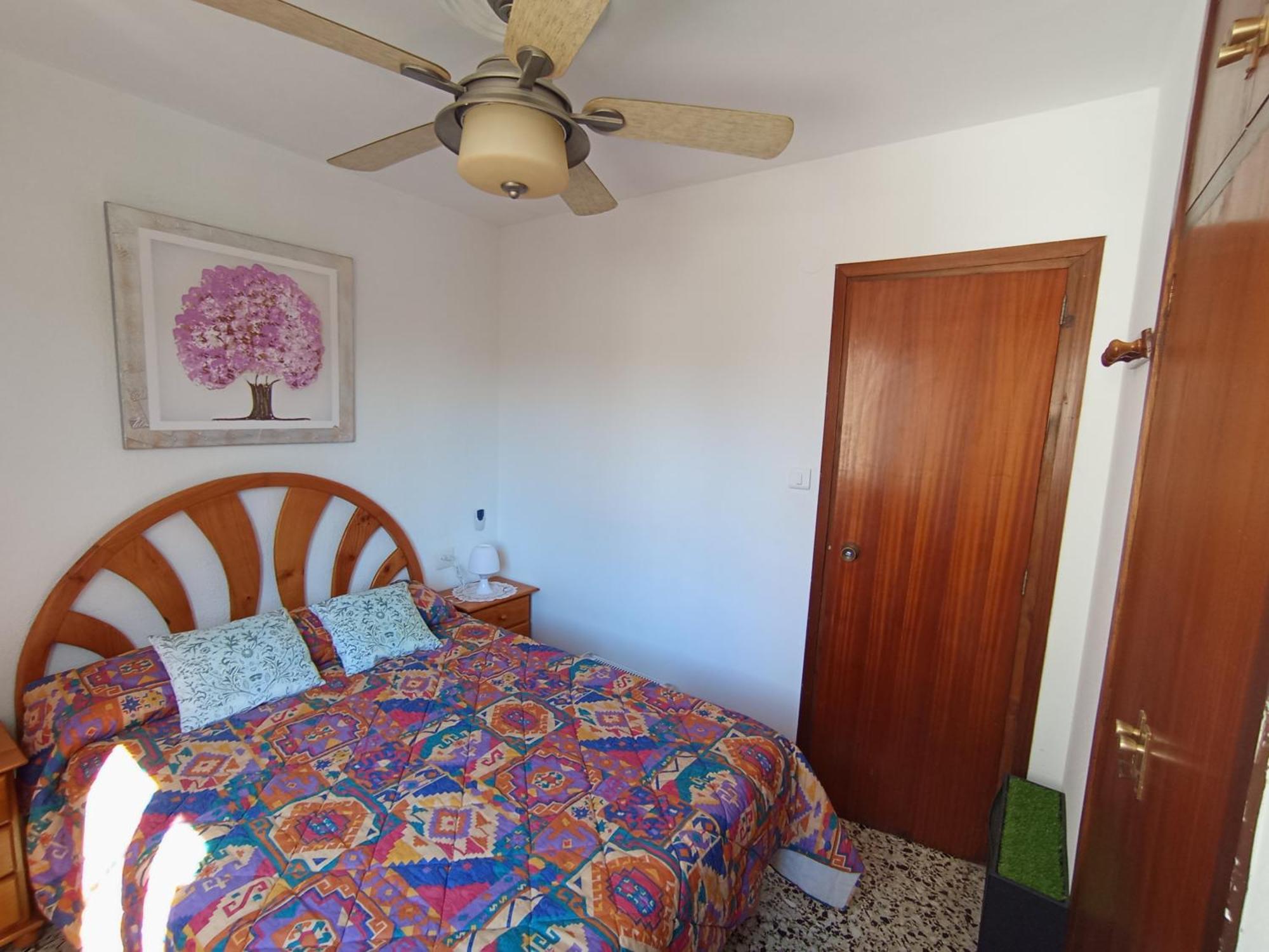 Apartamento 3 Paupi Oliva Εξωτερικό φωτογραφία